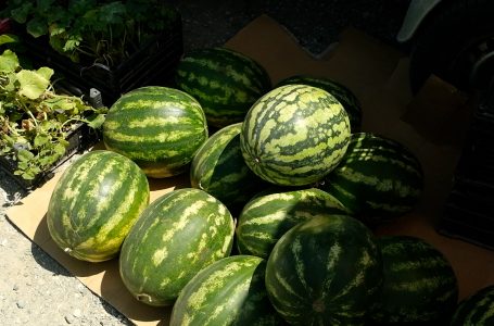 Produktet sezonale me çmime shumë të larta
