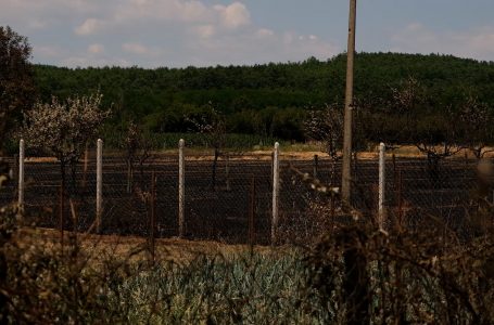 Zjarri i bën shkrumb e hi disa toka me grurë në Smolicë dhe Shishman