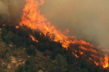 Shqipëria në përballje me zjarret