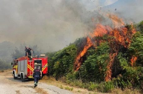 Zjarret në Shqipëri
