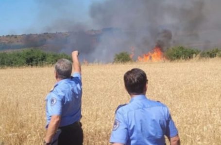 Rreziku nga zjarret shkaku i temperaturave të larta, Policia del me një apel për qytetarët