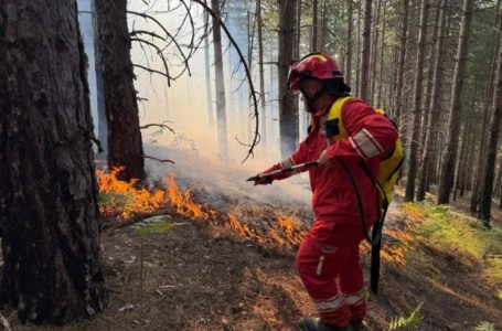 Shqipëri: Një vatër zjarri mbetet aktive, një nën monitorim